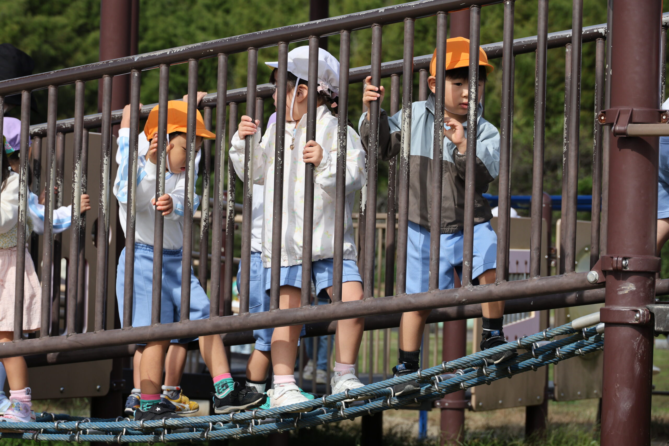 園外保育の様子